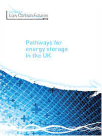Pathways for Energy Storage in the UK report