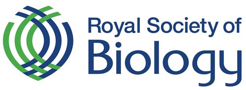 RSB Logo