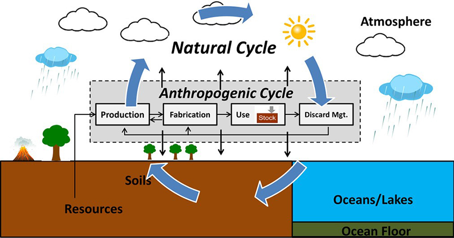 Nature cycle diagram