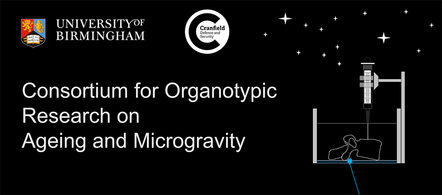 Consortium for Organotypic Research on Ageing and Microgravity logo and graphic