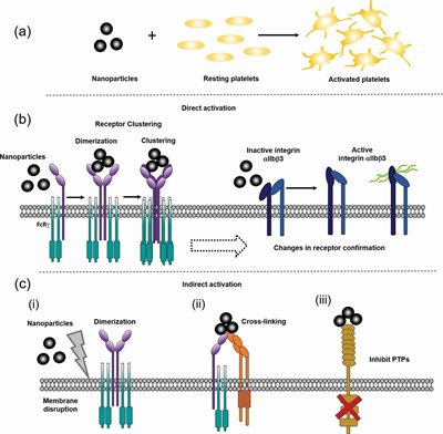 Platelet activation by charged ligands and nanoparticles: platelet glycoprotein receptors as pattern recognition receptors