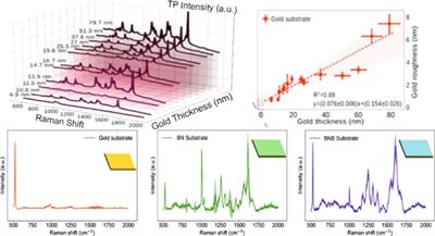 Optimization of Nanosubstrates toward Molecularly Surface-Functionalized Raman Spectroscopy