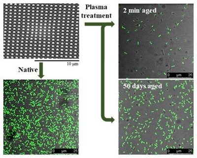 Plasma Activation and Its Nanoconfinement Effects Boost Surface Anti-Biofouling Performance