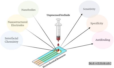 Recent Advances in Surface Modification and Antifouling Strategies for Electrochemical Sensing in Complex Biofluids