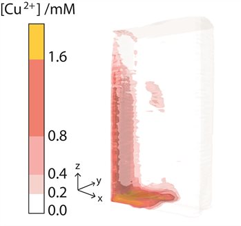 graphic illustrating Quantitative, in-situ visualisation of metal ion dissolution and transport using 1H magnetic resonance imaging