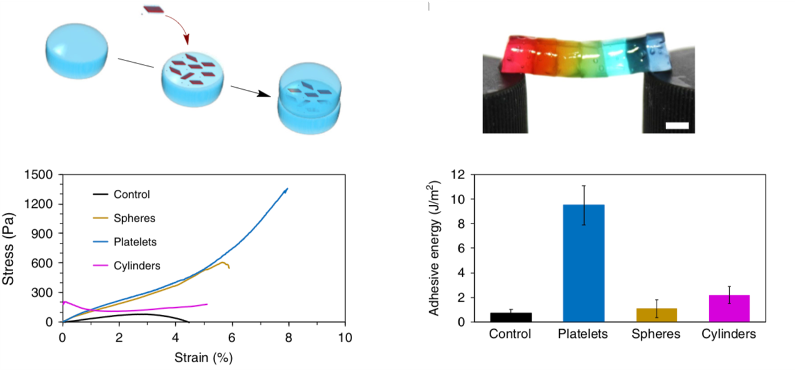 Selection of chemistry diagrams illustrating the research paper titled 'Exploiting the role of nanoparticle shape in enhancing hydrogel adhesive and mechanical properties'