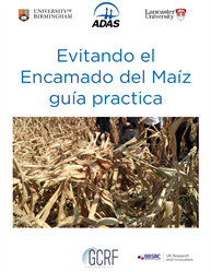 Front page of the Spanish language lodging guidelines for maize.