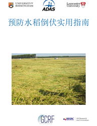 Front page of the Mandarin language lodging guidelines for maize.