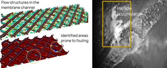 Montage of images connected to flow and fouling studies in membrane channel of an RO system