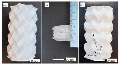 4D printing of bio-inspired structures