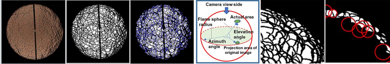 Image processing for quantitative information on cellular structures