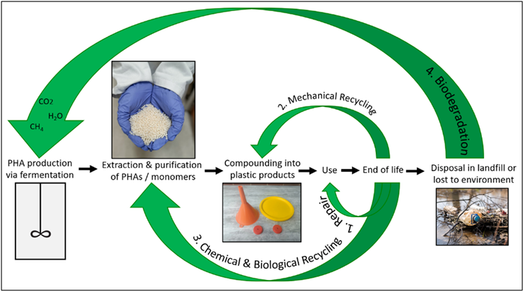 A diagram depicting chemical and biological recycling in the natural environment and in landfill.