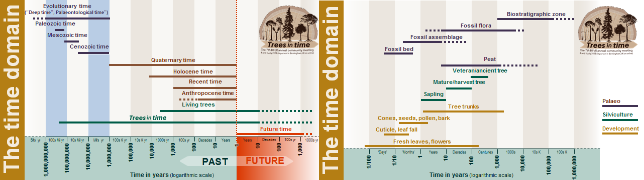 2023 The TIme Domain Diagram