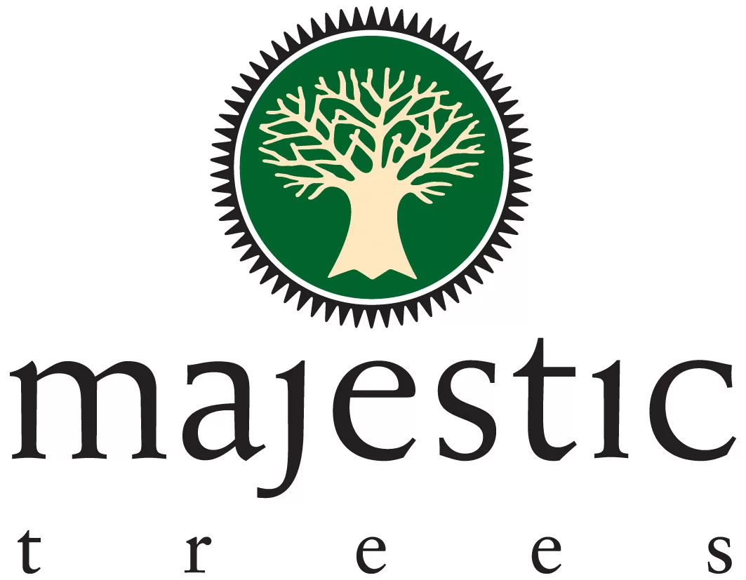 2024 Majestic Trees