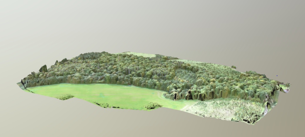 3D model view of BIFoR FACE woodland Mill Haft
