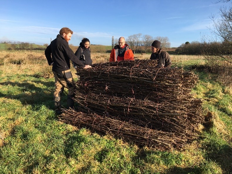 Ben Howard Coppice fascines with Small Woods