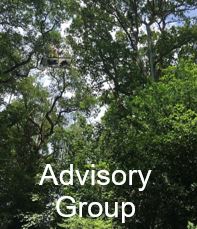 About Advisory Group