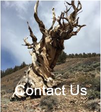 about us contact us