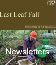 About us newsletters
