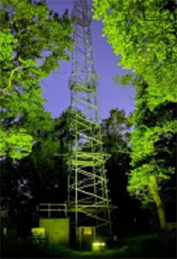 flux tower at night