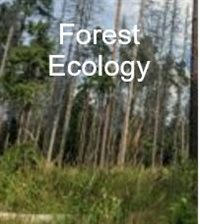 Global Forest Ecology
