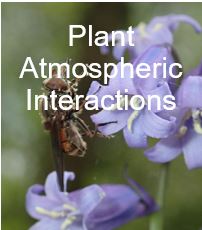 Global Plant Atmospheric Interaction