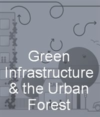 Int Green Infrastructure & the Urban Forest.2