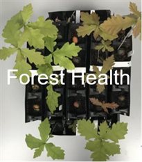 Research Forest Health