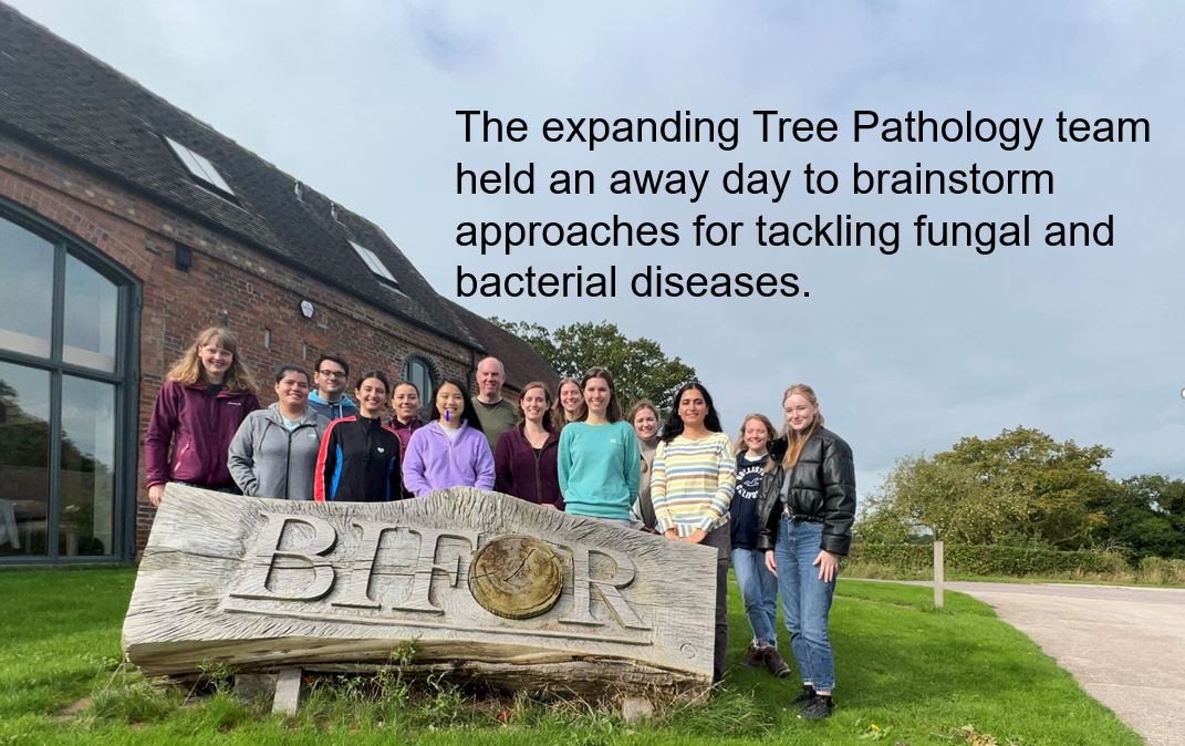 The Tree Pathology team 1