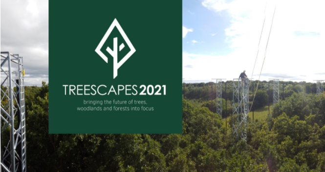 Treescapes 2021