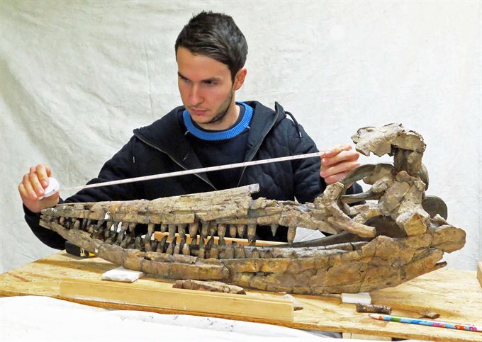 Dean with ichthyosaur skull
