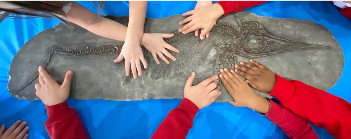 Ichthyosaurs Hands