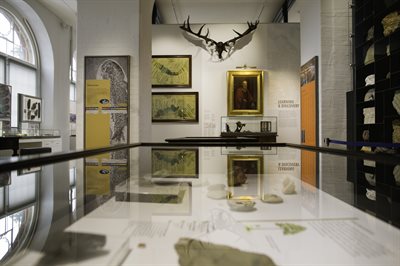 View of the Lapworth Museum