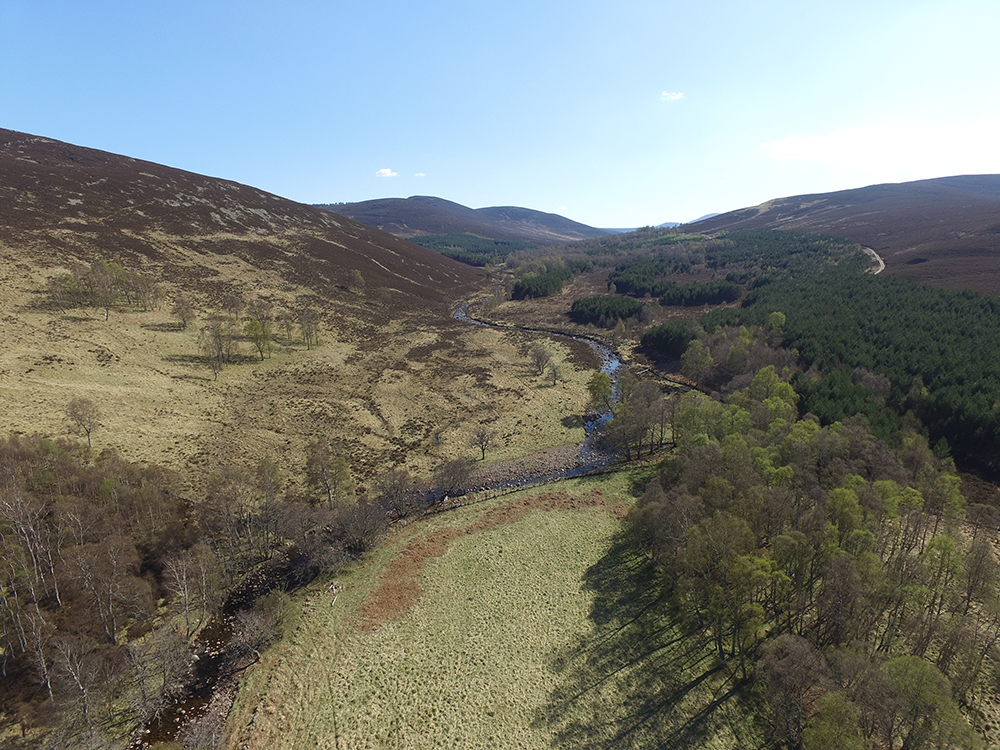 glen-girnock