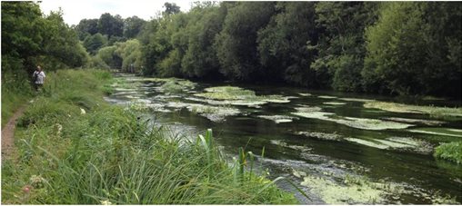 River Itchen, Hampshire