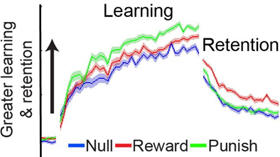 learning-retention-graph