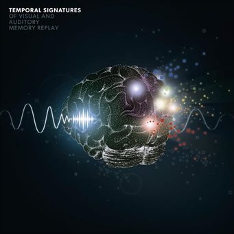 temporal-signatures