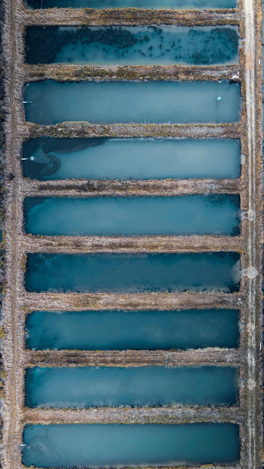 Overhead view of a fish farm