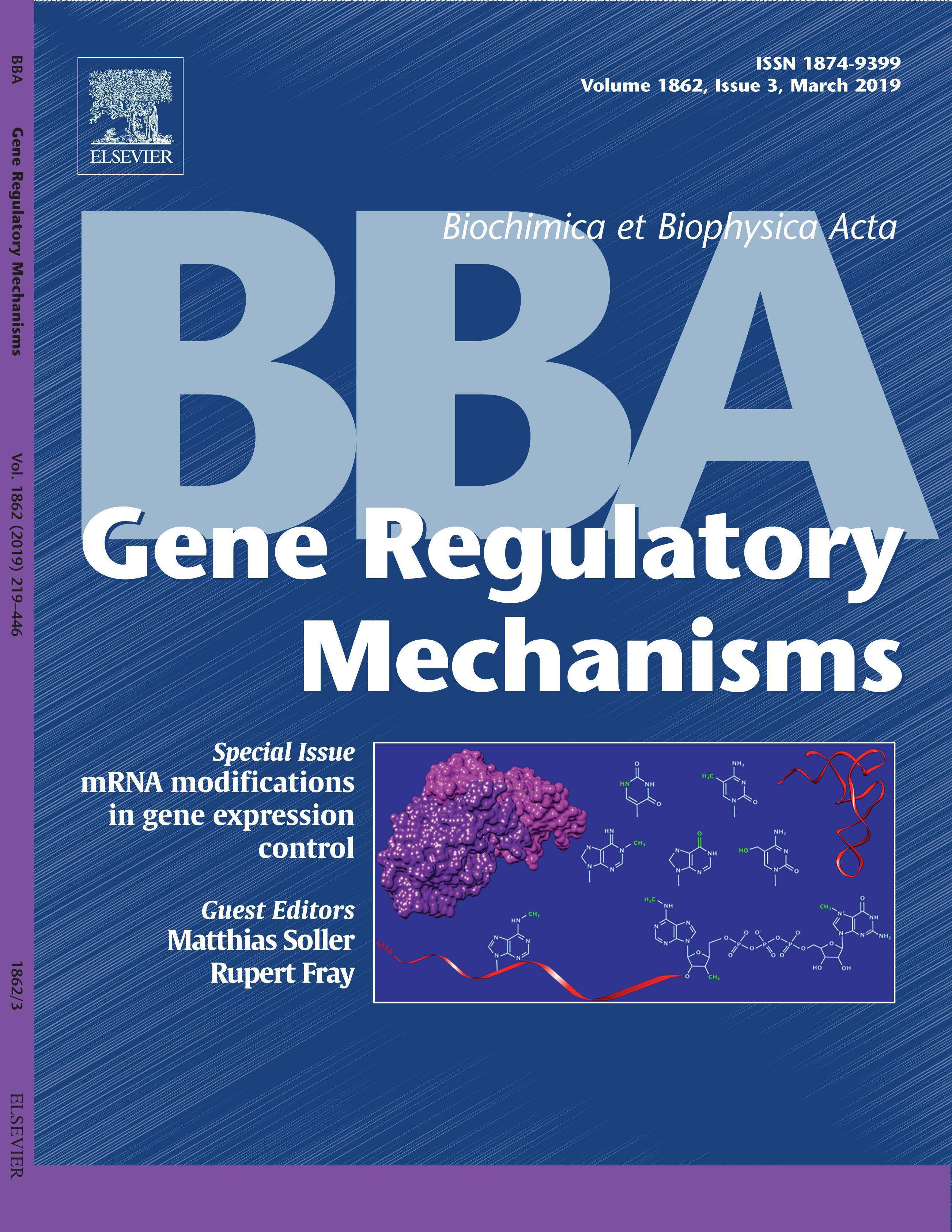 BBA Cover-matthias soller