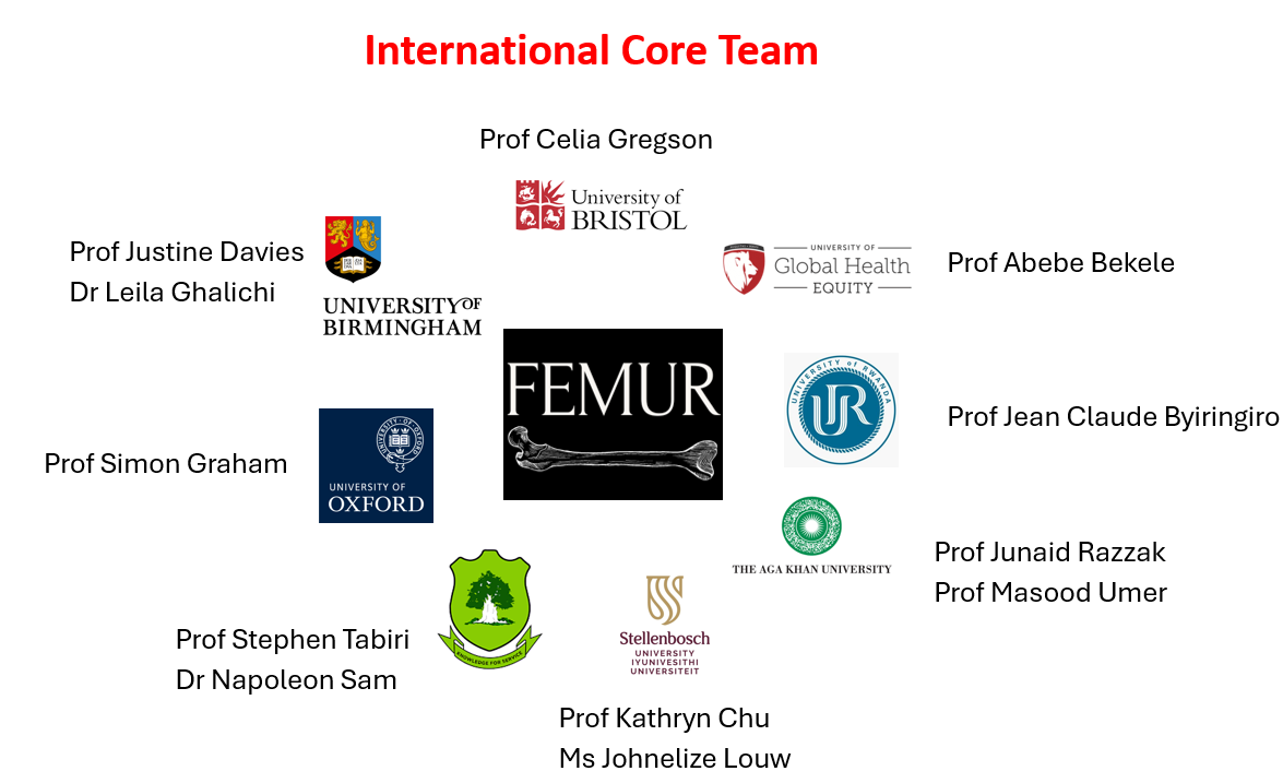 International core team