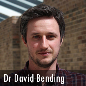 Dr David Bending