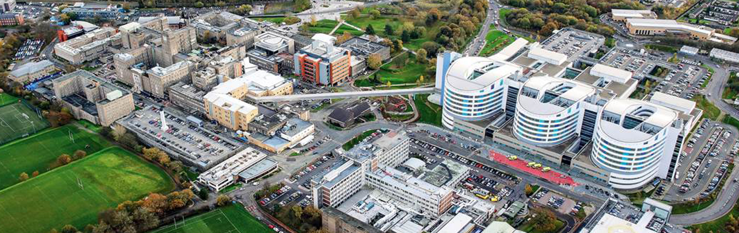 Arial view of the Medical School, Institute of Translational Medicine and Queen Elizabeth Hospital