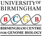 BCGB Logo