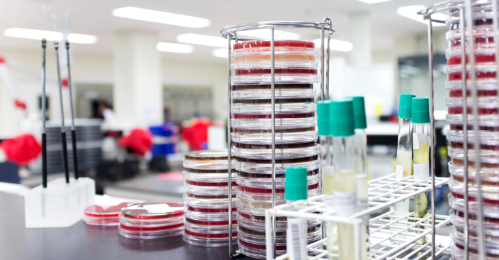 Piles of petri dishes in a lab