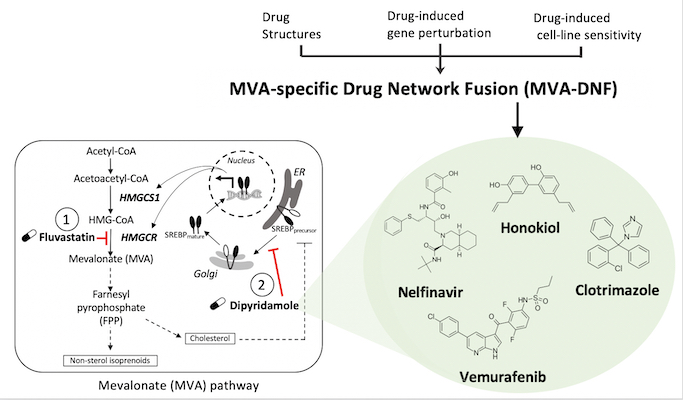 MVA-specific drug network fusion diagram