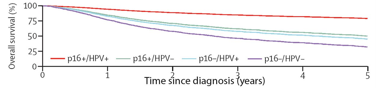 Graph showing overall survival rate percentage for individuals with oropharyngeal cancer against time in years since their diagnosis