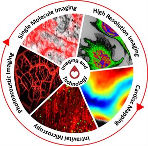 Imaging and Technology theme is made up of 5 segments: High Resolution Imaging, Cardiac Mapping, Intravital Microscopy, Photoacoustic Imaging and Single Molecular Imaging