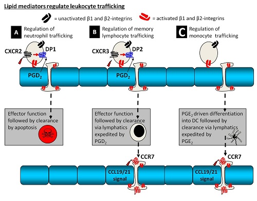 Leukocyte Trafficking Group - Lipid mediators