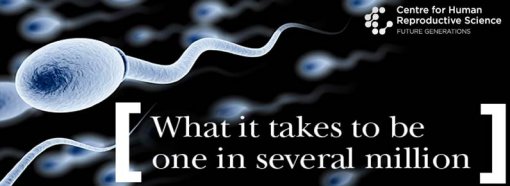 Sperm - 'what it takes to be one in several million'