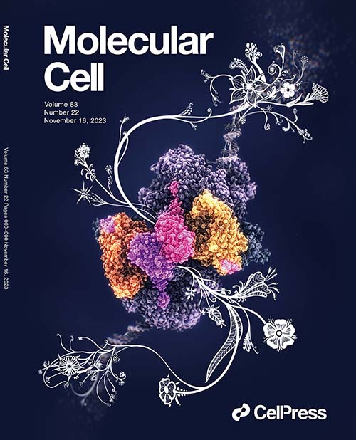 Molecular Cell front cover